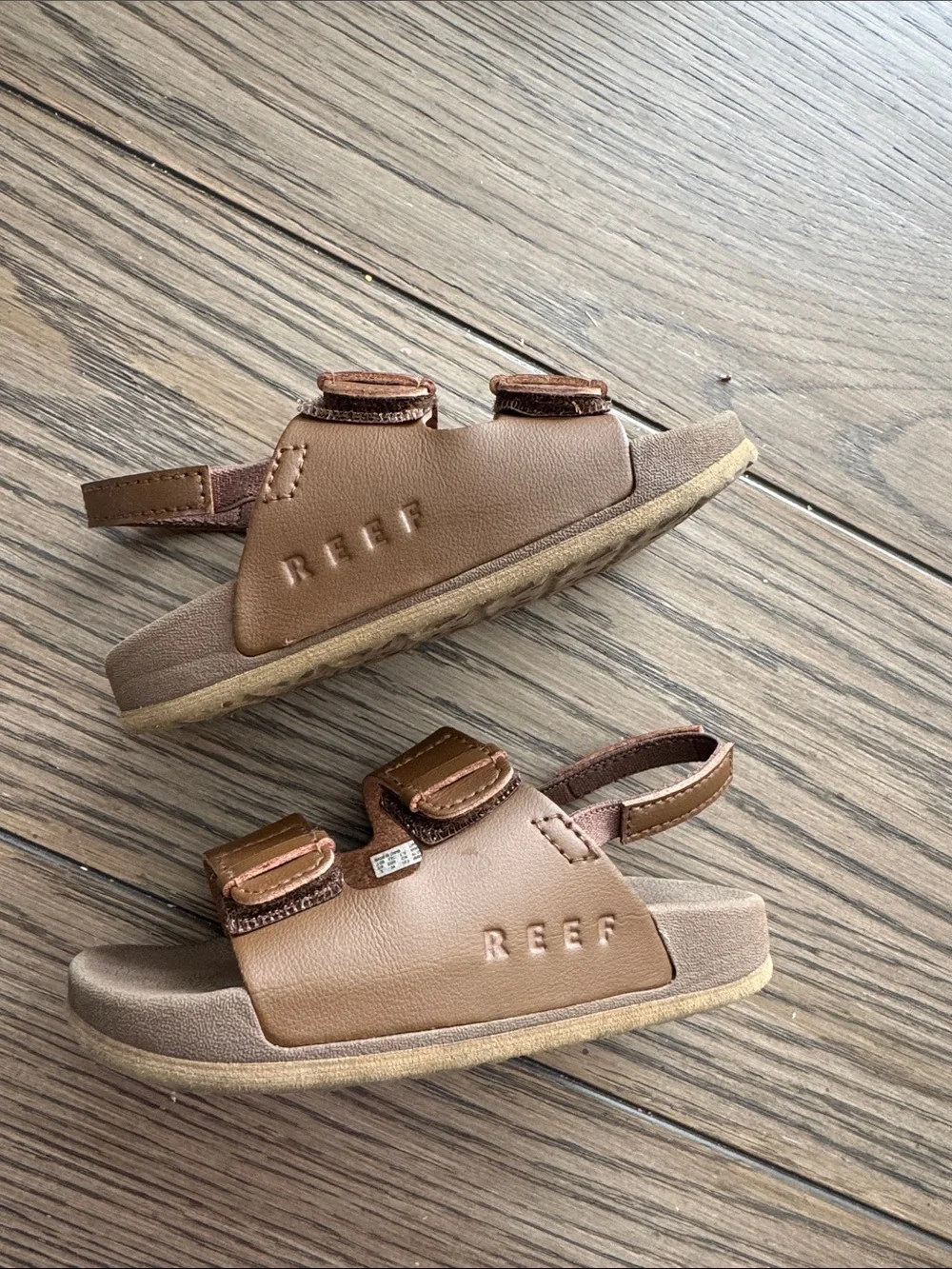 Reef toddler little